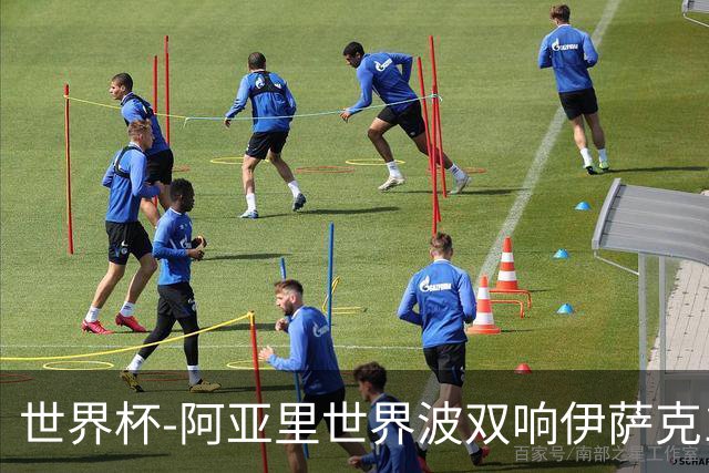 世界杯-阿亚里世界波双响伊萨克1射2传 瑞典5-1突尼斯